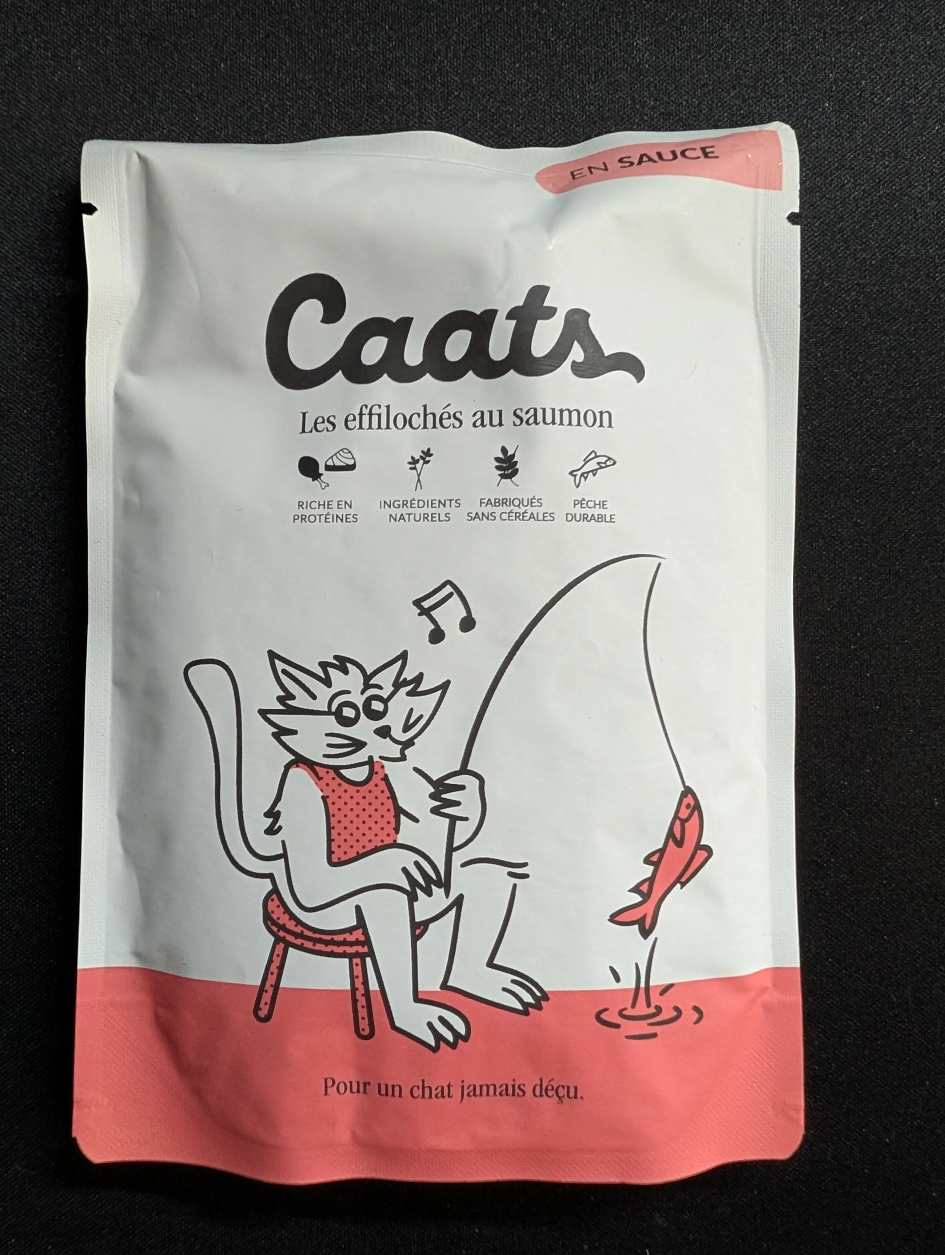 Pâté Saumon en sauce